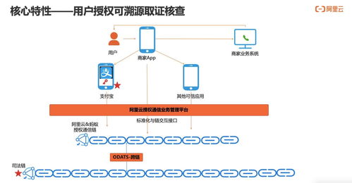 構建可信、可知、可追溯的用戶通信授權服務 技術深度解讀